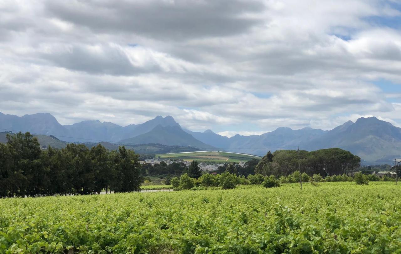 Rouana Guest Farm Hotel Stellenbosch Exterior photo